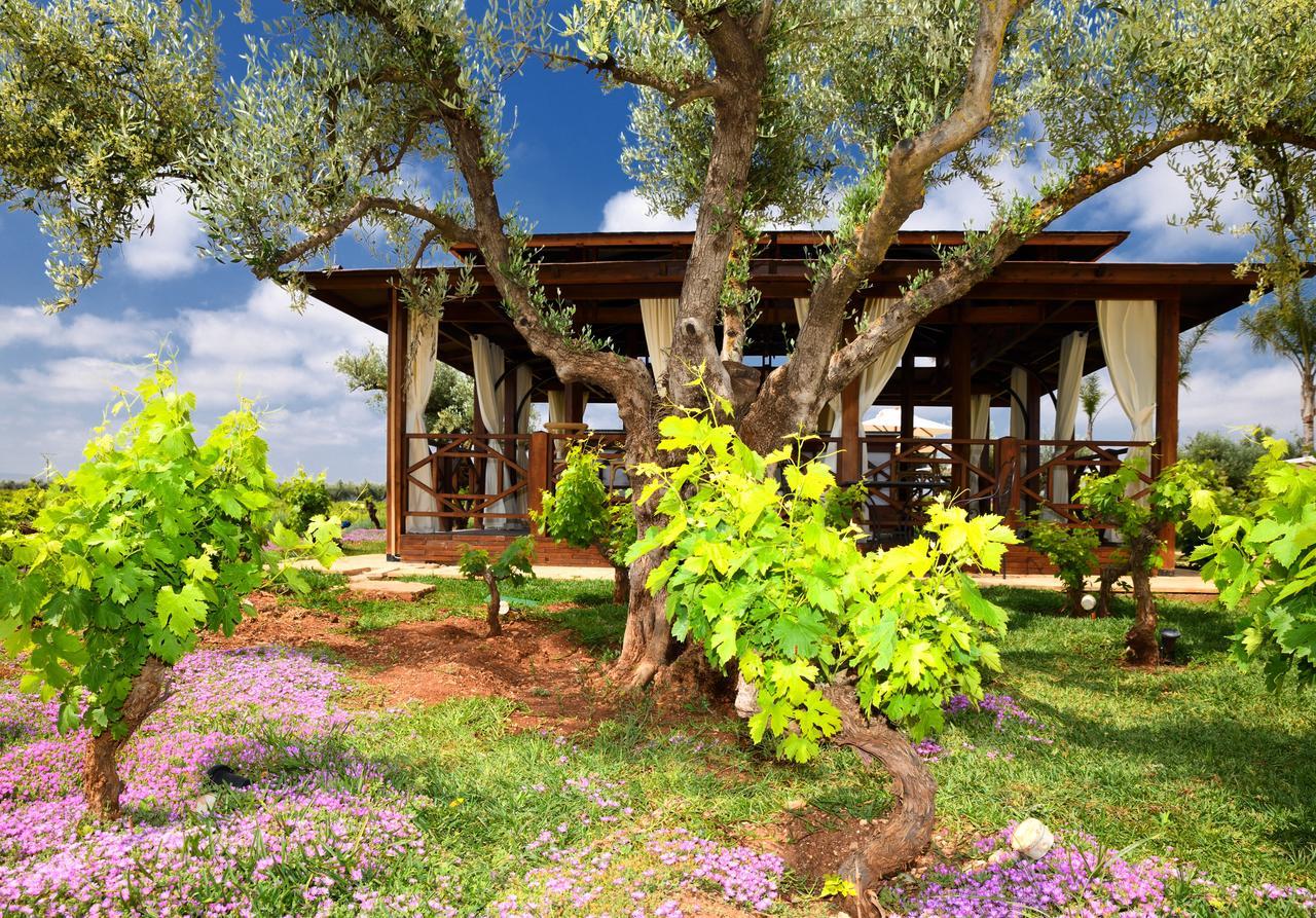 Chateau Roslane Boutique Hotel & Spa Meknesz Kültér fotó