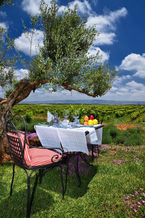 Chateau Roslane Boutique Hotel & Spa Meknesz Kültér fotó